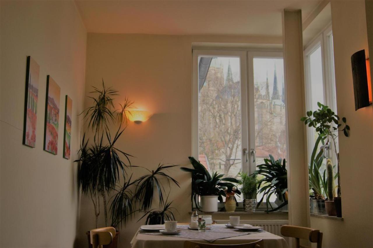 Hotelpension Am Dom Guest house Erfurt