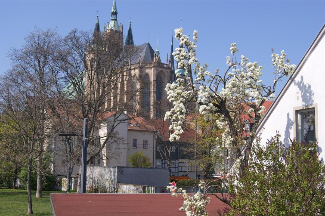 Hotelpension Am Dom Guest house Erfurt